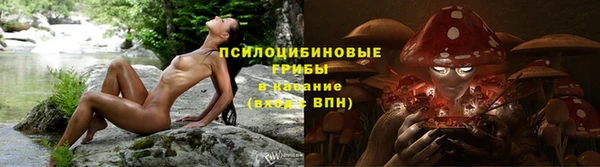 прущие грибы Алексин