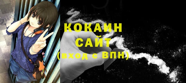 шишки Кодинск