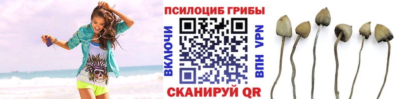 Псилоцибиновые грибы GOLDEN TEACHER  МЕГА tor  Гаврилов Посад 